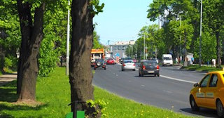 Посадка деревьев и кустарников в Урае — стоимость от 1251 руб.